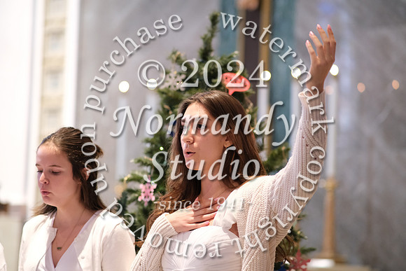 MSM_tree lighting_28