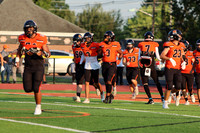 SVL_fb_10