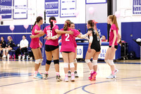 WHS_vb-pink out_03