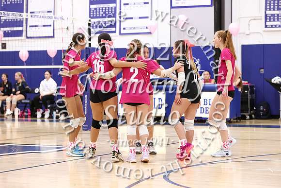 WHS_vb-pink out_03