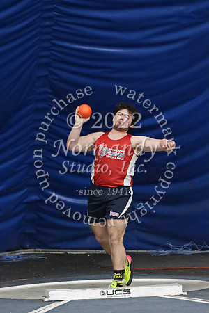 MNP_028_wt-b