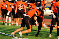 SVL_fb_15