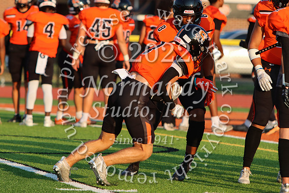 SVL_fb_15