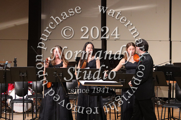 BER_orchestra_39