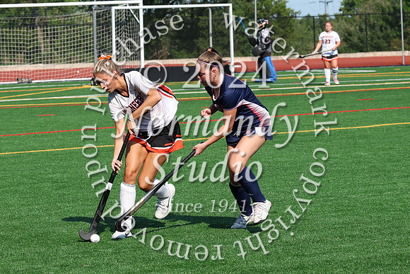 SVL_fh_19