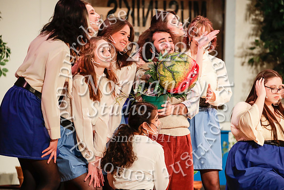 BER_72_little shop of horrors