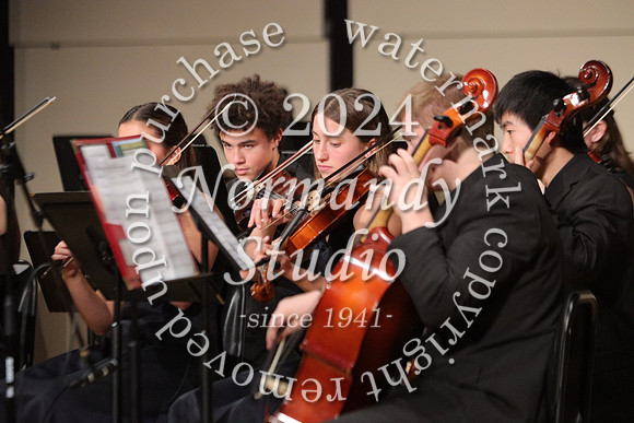 BER_orchestra_11