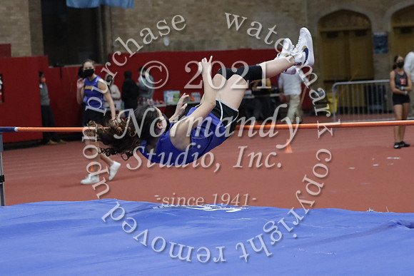 CHS_06_wt-g