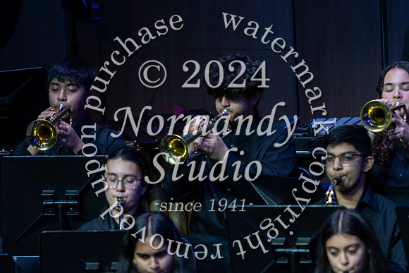 WTG_concert_40