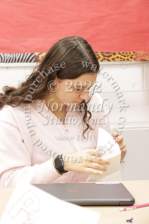 MNP_slc_033