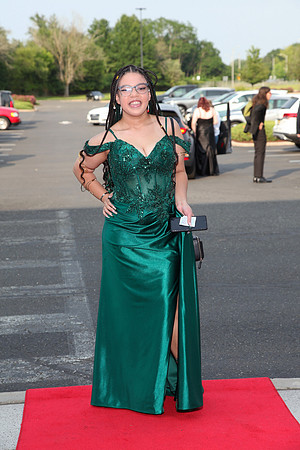 FTH_sr_prom_050