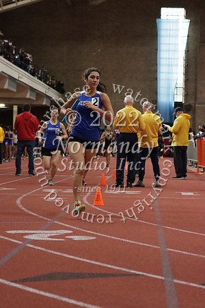 WHS_53_wt-g