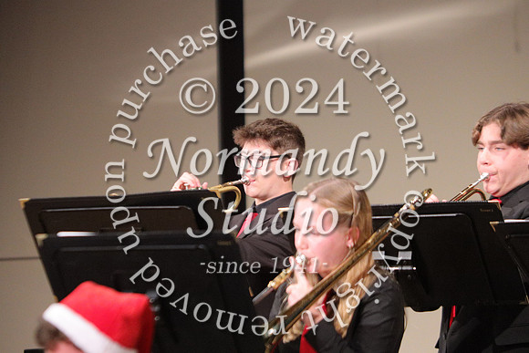 BER_orchestra_62