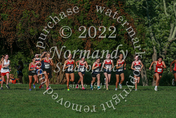 WMM_cc-g_12