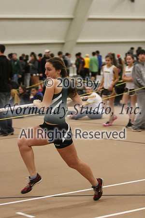 RDG_06_wt-g