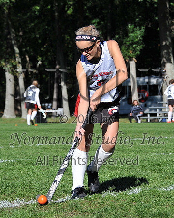 JAC_30_fhsd