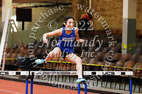 WHS_32_wt-g