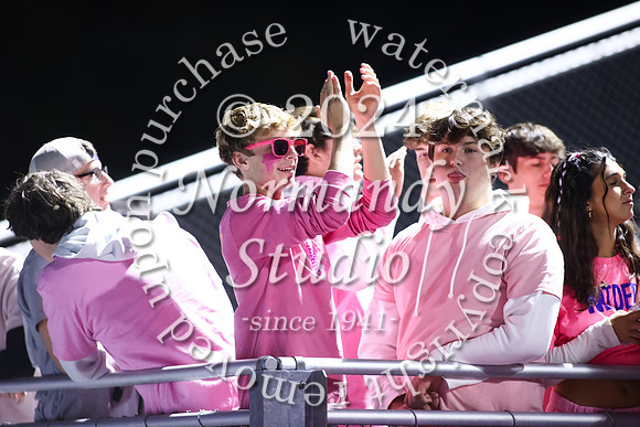 SPF_fans_36
