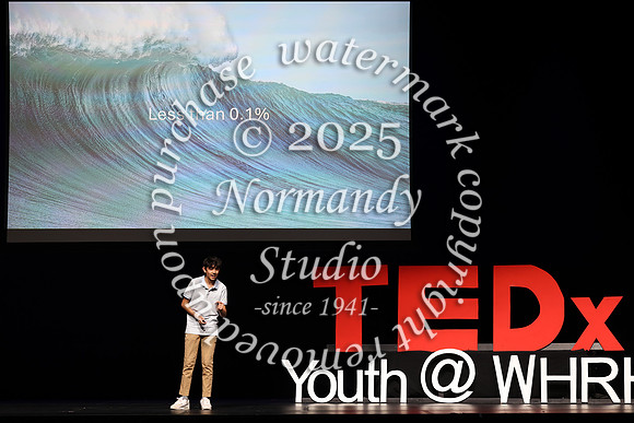 WTG_TEDx_045