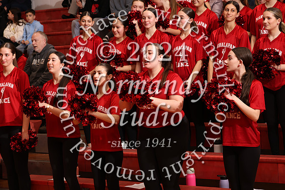 MNP_dt_04
