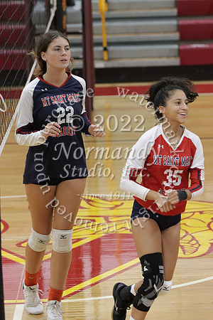MSM_vb-g_33