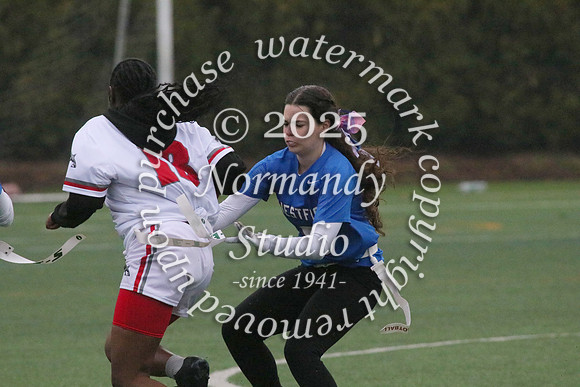 WHS_ff_53