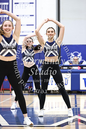 WHS_dt_036