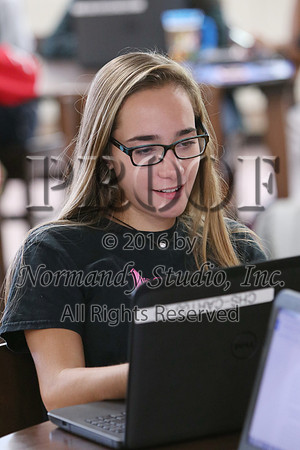 CHS_87_slc