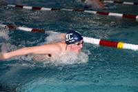WMC_14_sw-b
