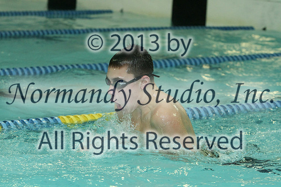 SVL_19_sw-b