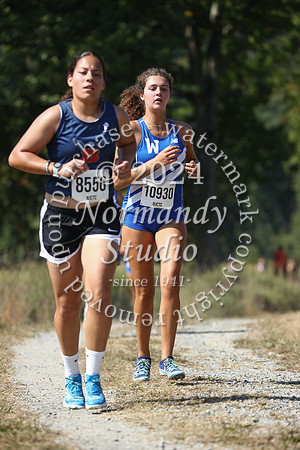 WHS_cc-g_31