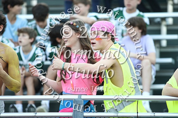 RAM_fans_18