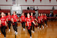 MNP_dt_18