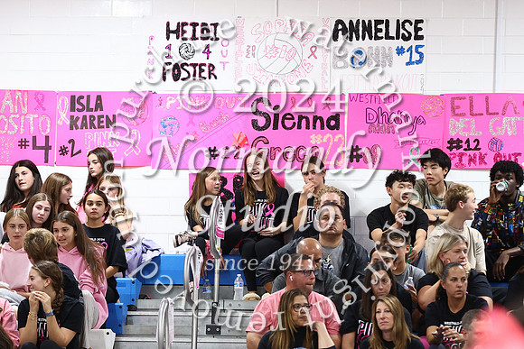 WHS_vb-pink out_37