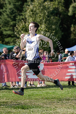 WHS_17_cc-b