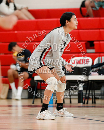 JAC_vb-g_53
