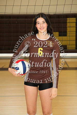 WTG_vb-g-v-ind_41