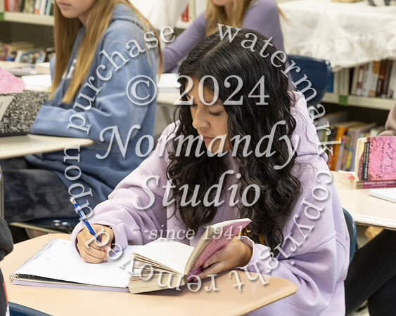 BER_slc_317