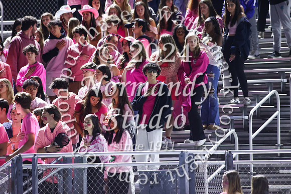 SPF_fans_07