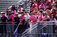 SPF_fans_06