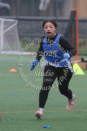 WHS_ff_32