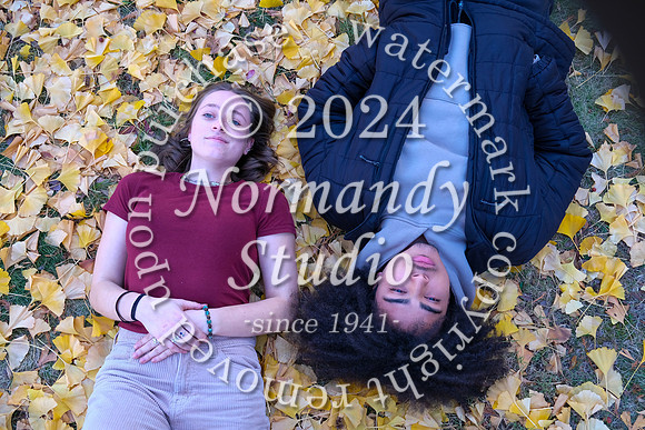 DHS_sr slant_32