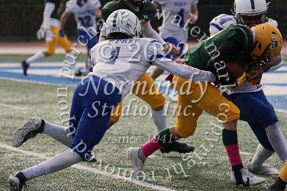SHP_fb-f_69