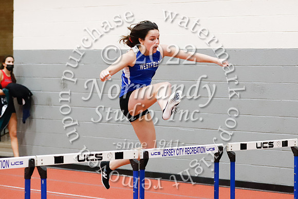 WHS_39_wt-g