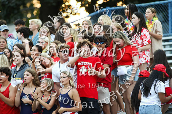 CHS_fans_13