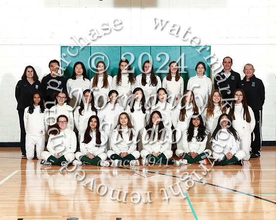 RDF_fe-g-t_03
