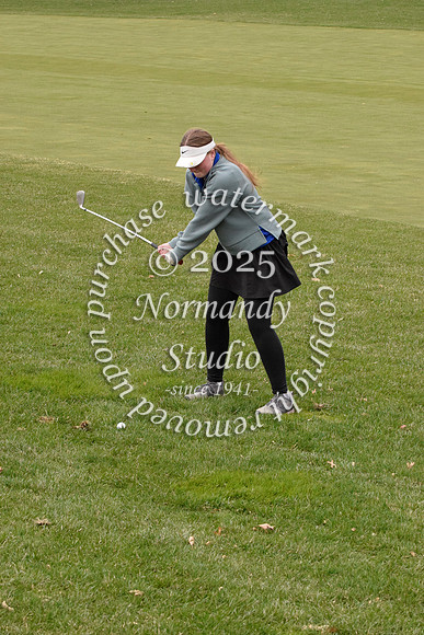 CHS_go-g_39