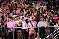 VOR_fans_05