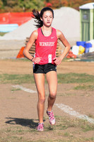 BER_05_cc-g