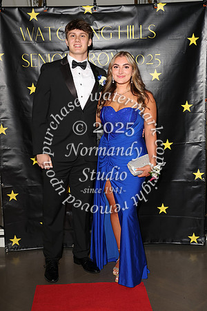 WTG_sr_prom_046